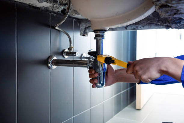 Best Garbage Disposal Repair and Installation  in Farmington, PA